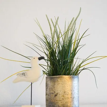 Sylter-sprotte-haus-ornum شقة