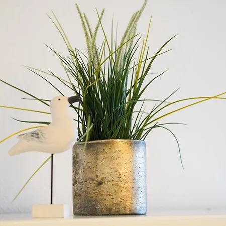 Apartman Sylter-sprotte-haus-ornum Westerland